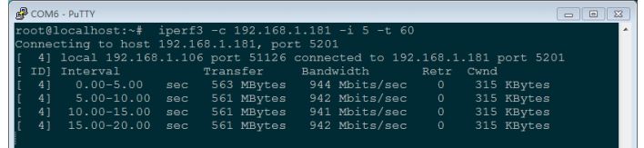 FET1046A-C Gigabit network iperf test