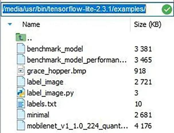 i.MX 8M Plus SBC image recognition routine of NPU 2