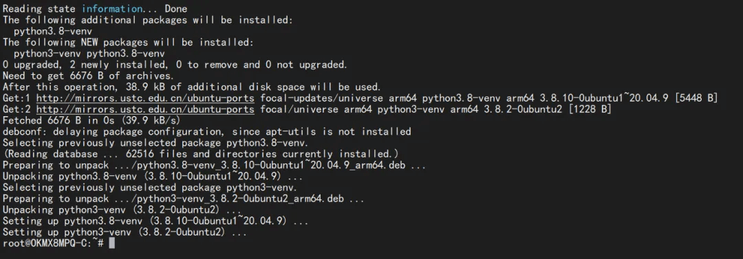 Installing the Python venv Environment