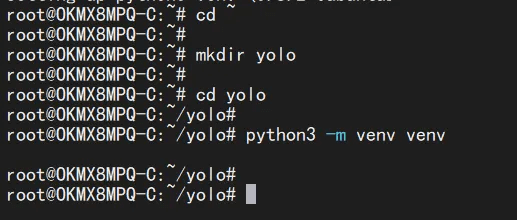 Create the yolo directory