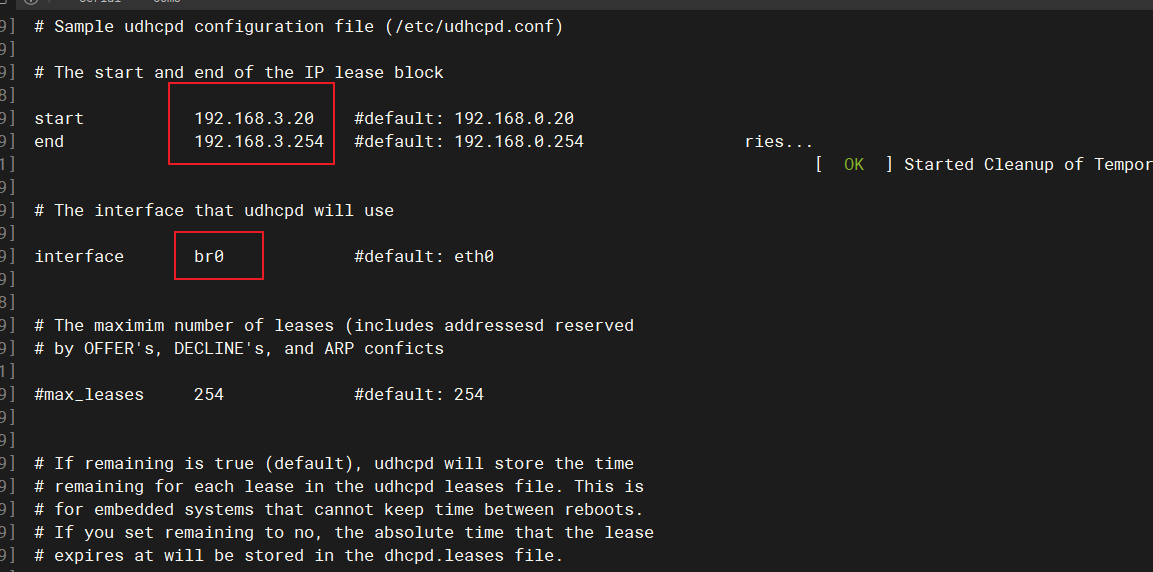 Configure udhcpd Service