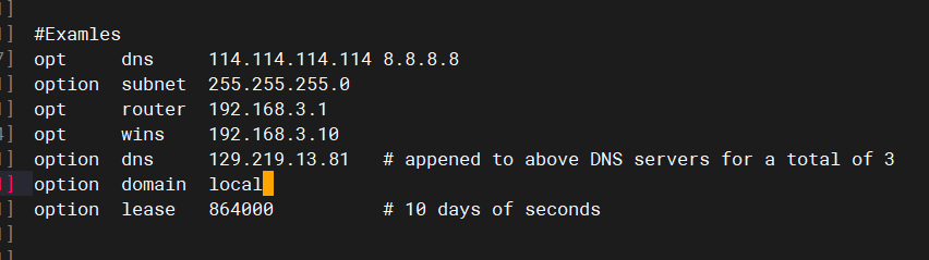 Configure udhcpd Service