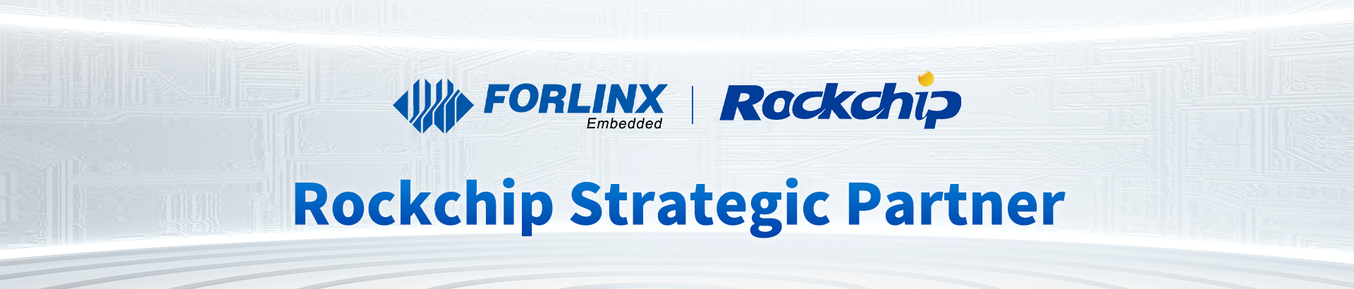 Rockchip Strategic Partner