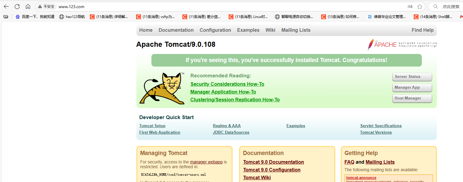 Accessing Tomcat via Nginx Reverse Proxy