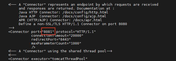 Setting port 8081 in Tomcat configuration