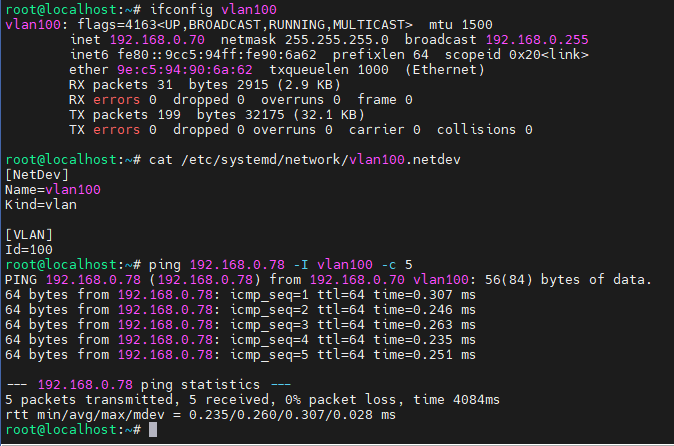 Bi-directional ping verification showing successful connectivity on VLAN 100