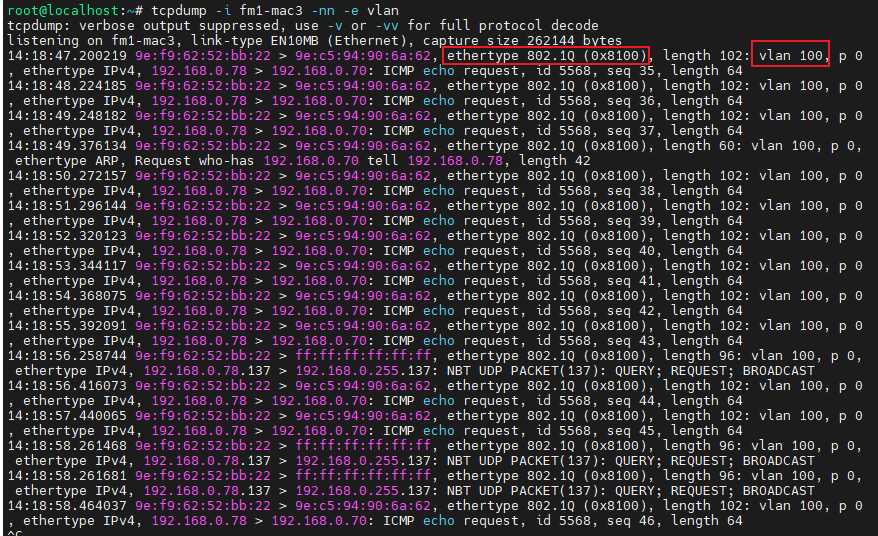 Tcpdump packet capture showing 802.1Q tagging and VLAN ID 100 in the Ethernet header