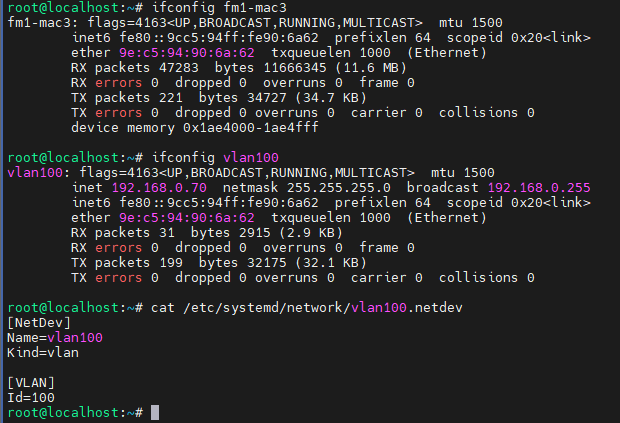OK1046A-C Development Board 1 VLAN interface status and network configuration details